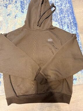EUC - ALO Accolade Hoodie - Espresso size small